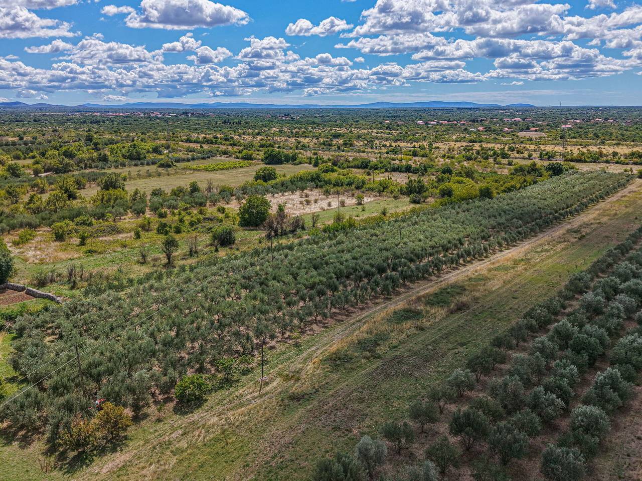 Rural Villa Olive Krka - Rural Villa Olive Krka 125.1 in Dalmatinisches Zagora