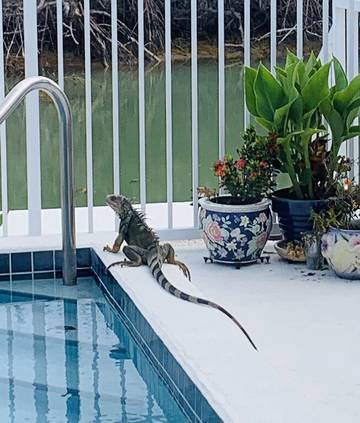 Vacation House for 7 Guests in Marathon, Monroe County, Picture 2