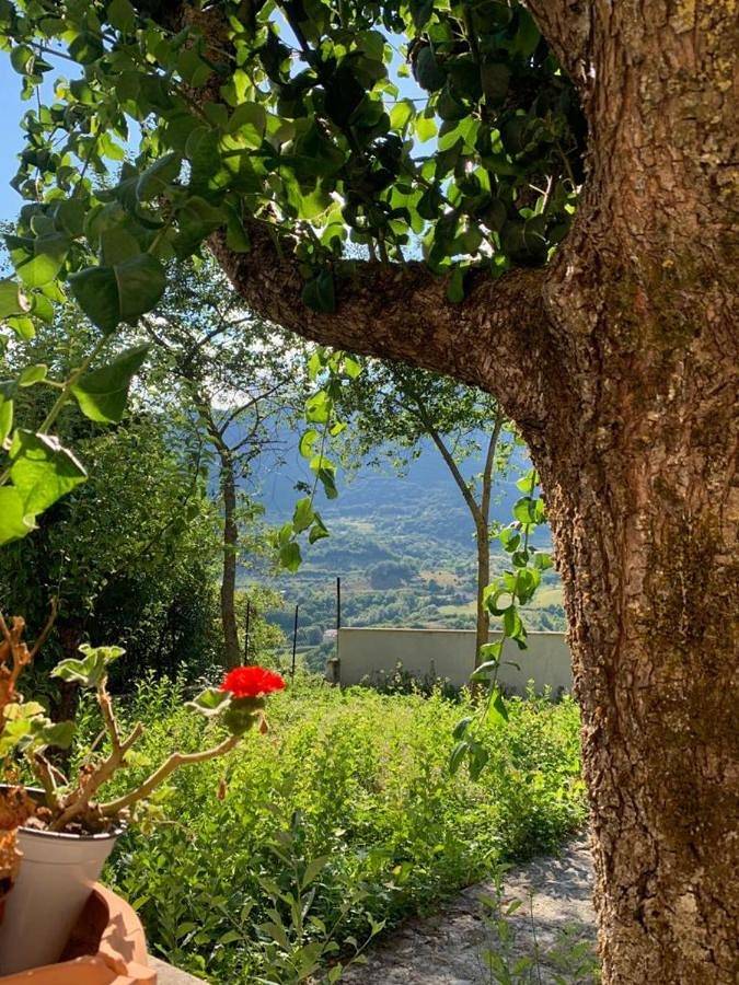 B&b per 2 persone, con Balcone e Terrazza nonché Giardino a Castel di Sangro