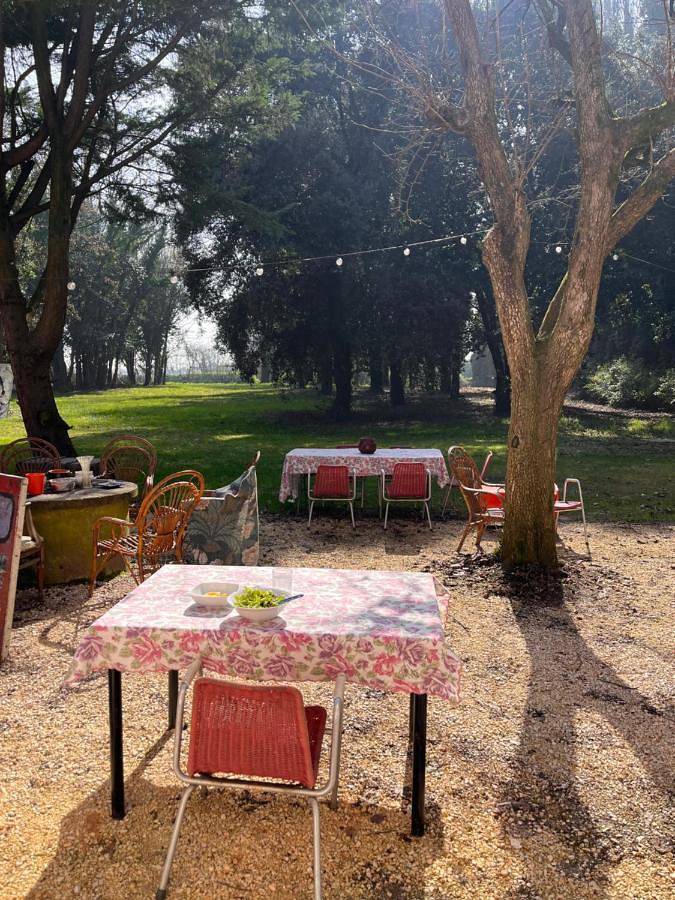 Gîte pour 4 personnes, avec jardin et vue, animaux acceptés à Mogliano Veneto - 3