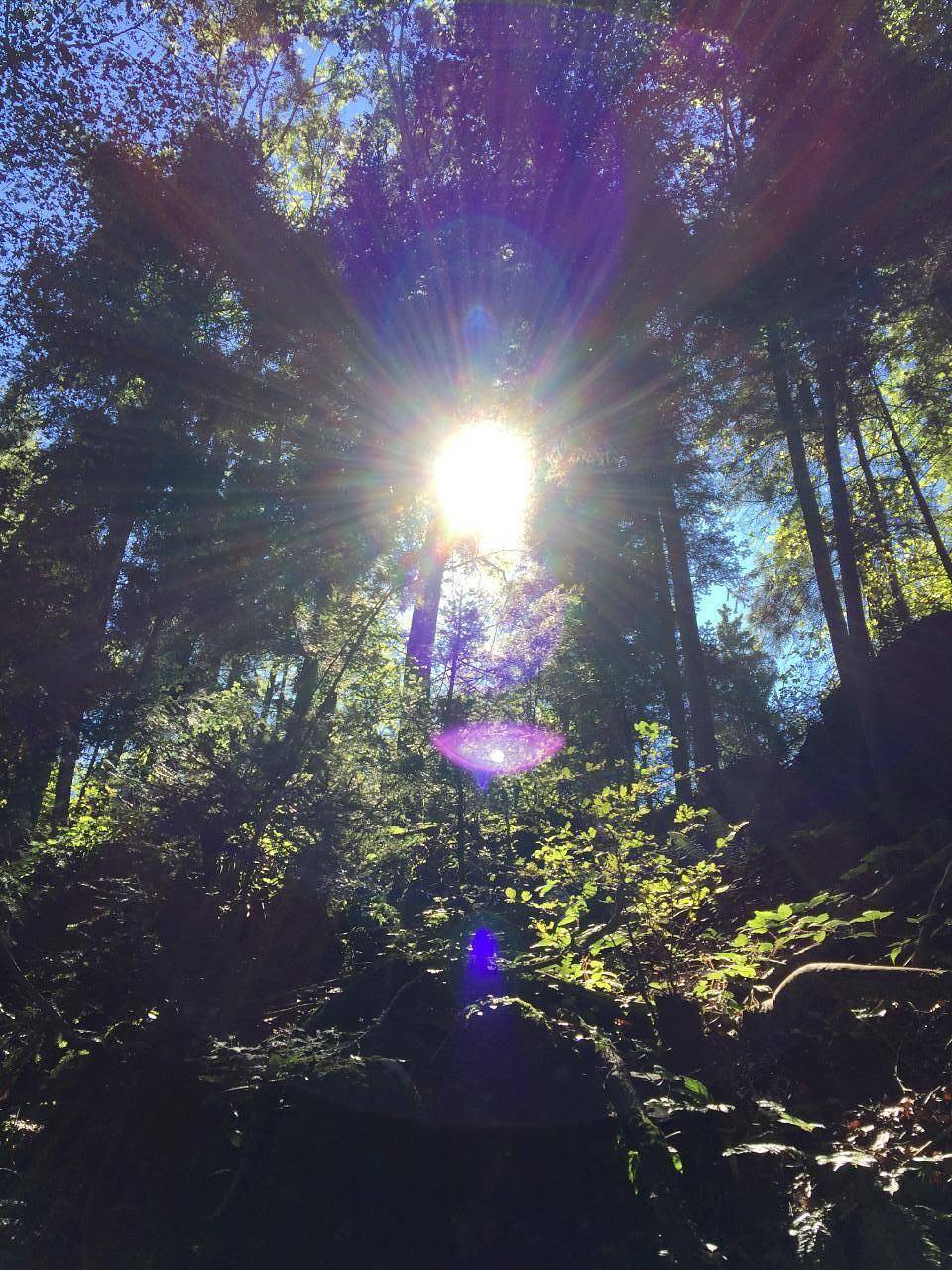 Appartement de vacances entier, Gina's appartement - bienenue au cour de la Suisse in Sarnen, Canton d'Obwald