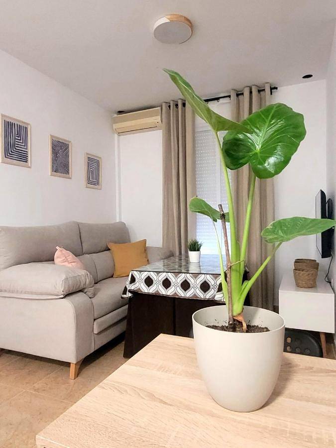 Apartamento de vacaciones para 3 personas, con terraza - 1