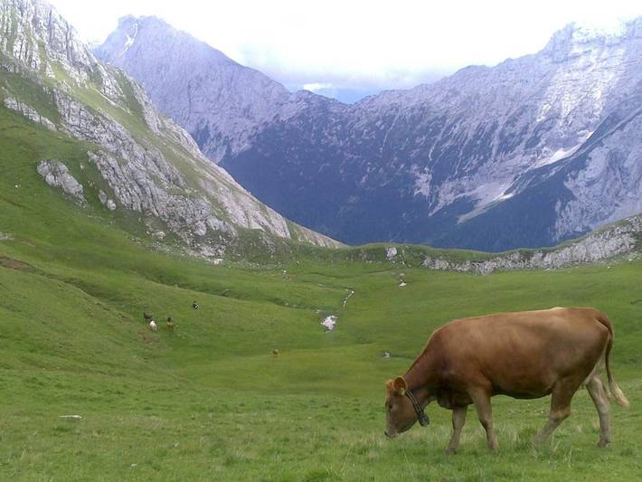 Ferienwohnung für 5 Personen, mit Balkon und Ausblick, mit Haustier in Tiroler Oberland - 4
