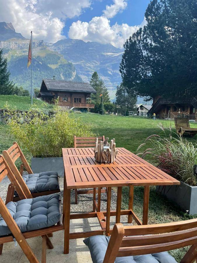 Gîte pour 3 personnes, avec vue et jardin, animaux acceptés dans Les Diablerets - 2