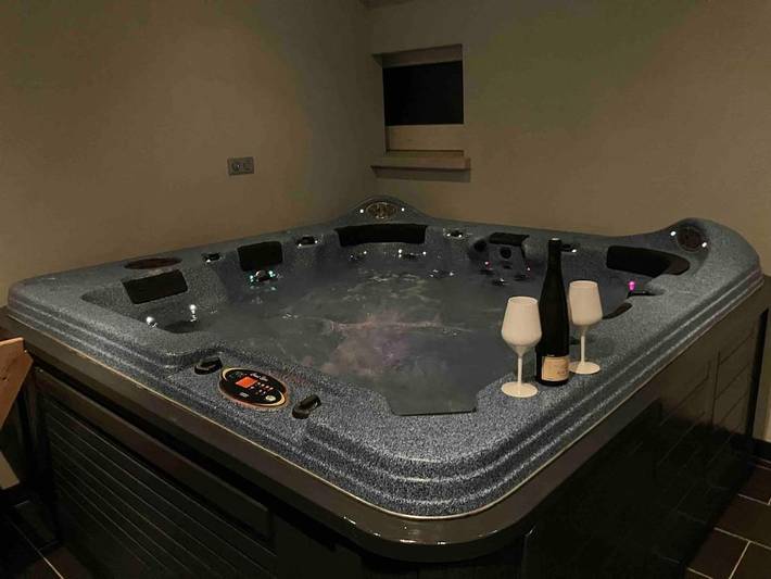 Location de vacances pour 8 personnes, avec piscine ainsi que jardin et jacuzzi, animaux acceptés dans Porte-du-Ried - 4