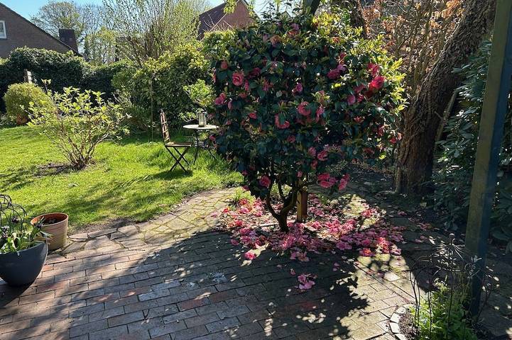 Ferienhaus für 4 Personen, mit Garten und Terrasse in Leer - 4