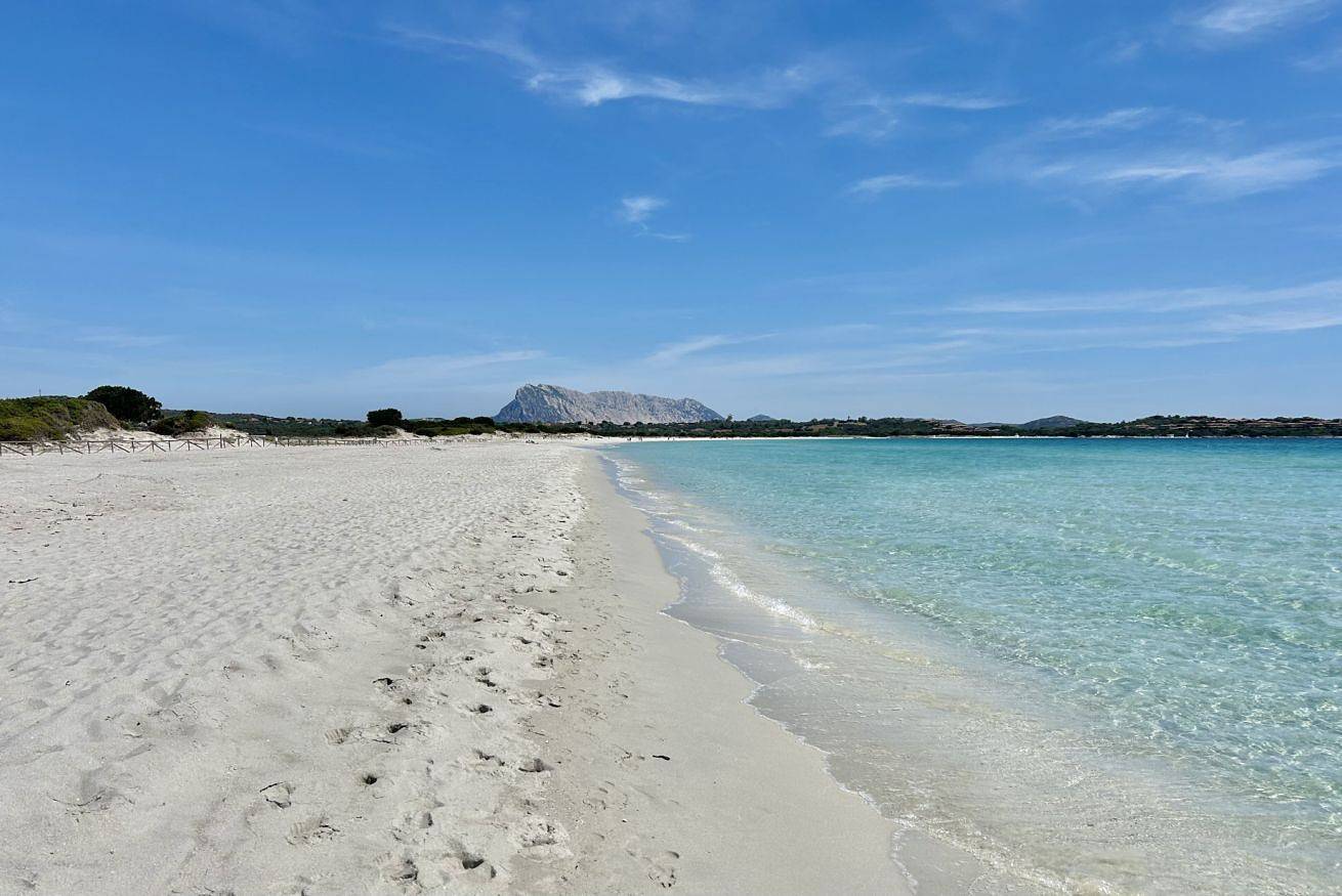 Appartamento intero, Molly's Garden House, trilocale con A.C e Wifi, a soli 1200 mt dalla spiaggia "La Cinta" in San Teodoro, Olbia-Tempio