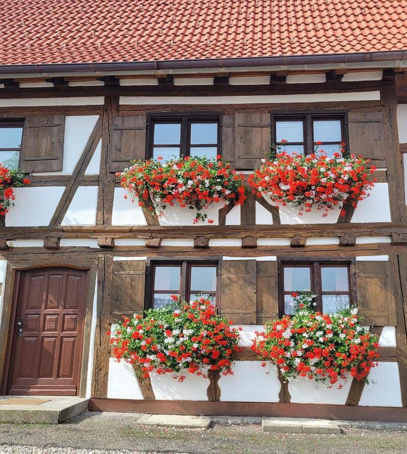 Ganze Wohnung, Two-Bedroom Apartment in Bad Grönenbach, Bayerisch Schwaben