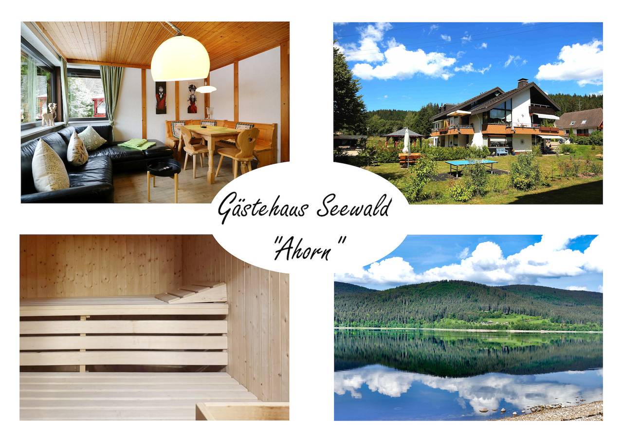 Ganze Ferienwohnung, Gästehaus Seewald- Ferienwohnung 1 "Ahorn", Schluchsee, Blasiwald in Blasiwald (Schluchsee), Schluchsee