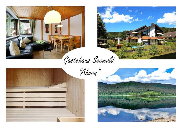 Ferienwohnung für 4 Personen, mit Garten und Sauna sowie Terrasse, kinderfreundlich in Schluchsee