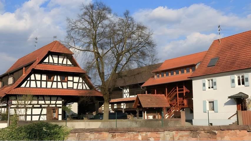 Ferienwohnung für 5 Personen, mit Garten, kinderfreundlich in Neuried