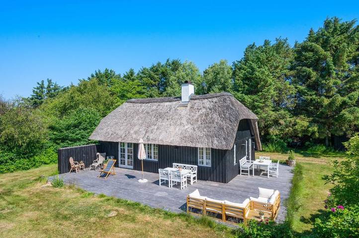 Ferienhaus für 4 Personen, mit Haustier in Vedersø Klit - 2