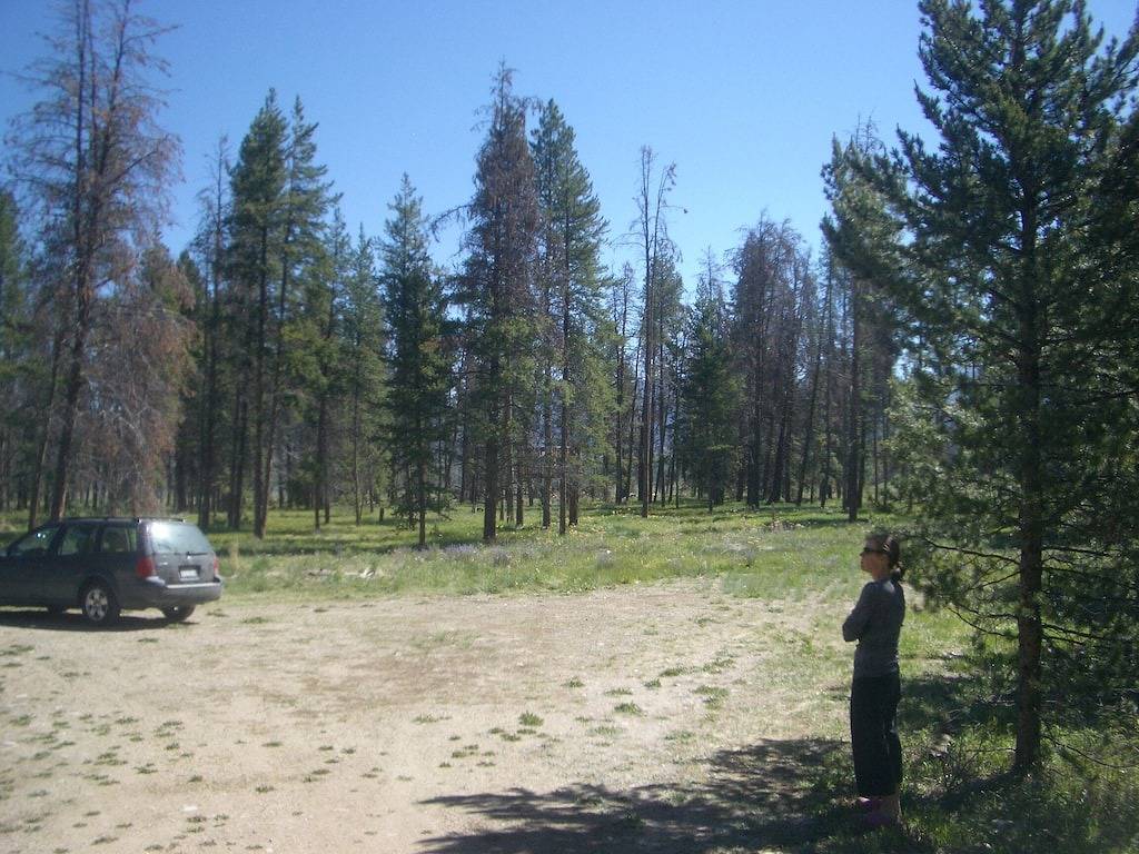 Private Kabine, Whirlpool, 3 Meilen von Fraser, 2 Betten, W / D, Garage in Fraser, Arapaho and Roosevelt National Forests