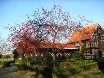 Ferienwohnung für 4 Personen in Bad Bentheim, Landkreis Grafschaft Bentheim, Bild 4