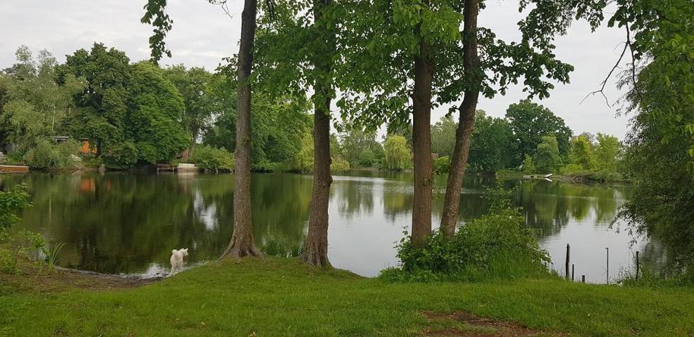 Villa für 3 Personen, mit Sauna und Garten sowie Pool und Ausblick, mit Haustier in Brandenburg