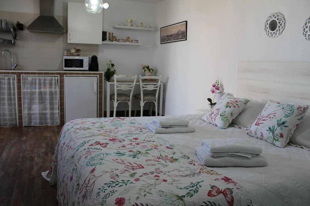 Apartamento entero, Apartamento 20 metros con terraza de 30 in Consuegra, Provincia de Toledo