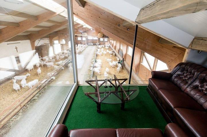 Ferienhaus für 2 Personen, mit Garten und Terrasse in Oberösterreich - 3