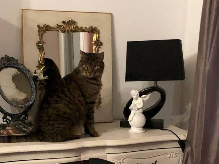 Location de vacances pour 6 personnes, avec jardin à Blainville-sur-Mer - 3