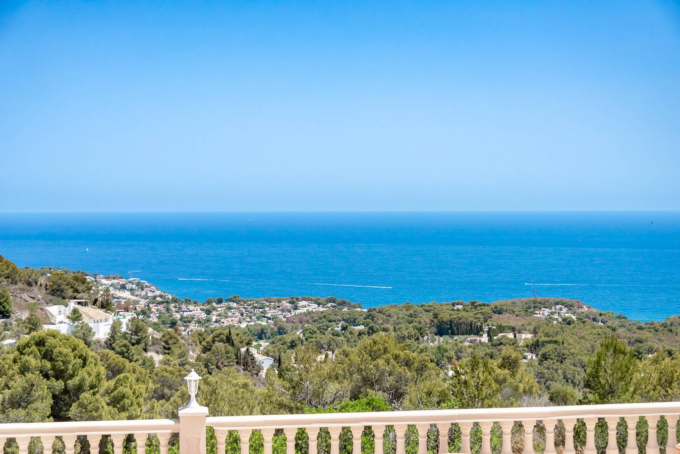 Garrofer in Fanadix, Benissa