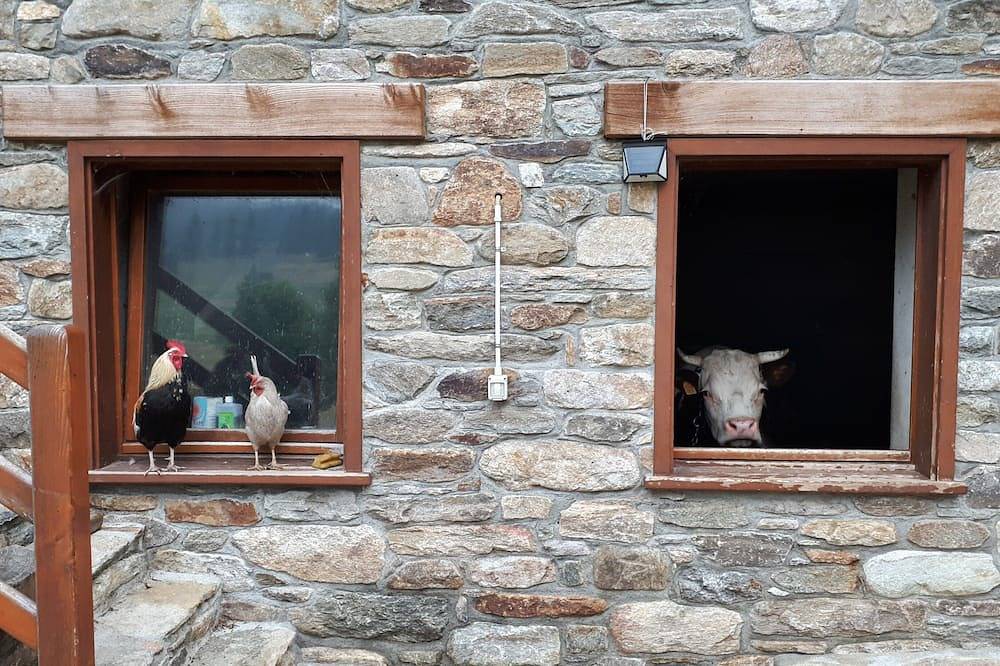 Encantadora casita en los pastos alpinos in Comune di Lillianes, Alpes del Valais