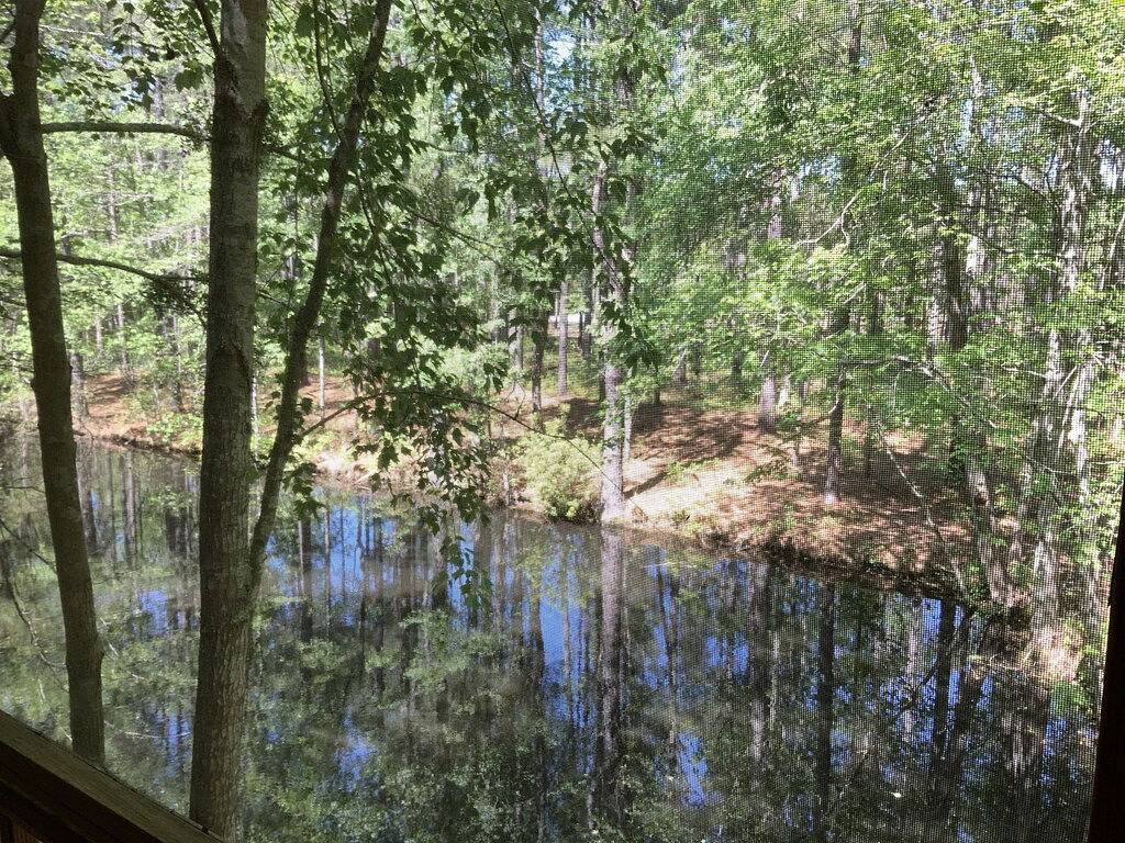 Geheime romantische Hütte von South Carolina mit großem grünem Ei-Grill in Florence - Conway und Umgebung