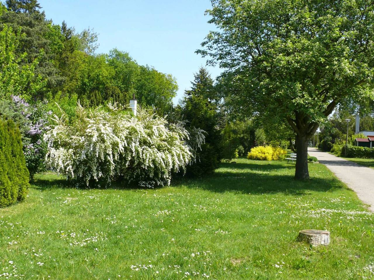 Ostsee Bungalow Stolteraa - Objekt 33398 in Diedrichshagen, Rostock und Umgebung