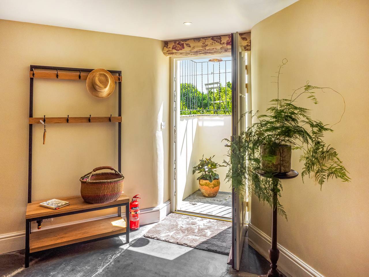 Hollyhock in Tavistock, Devon