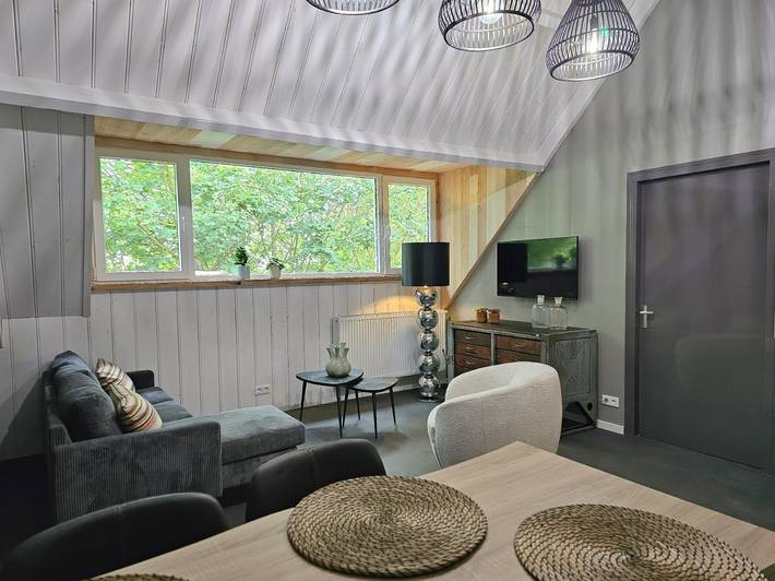 Ferienwohnung für 4 Personen, mit Terrasse in Aagtekerke - 2