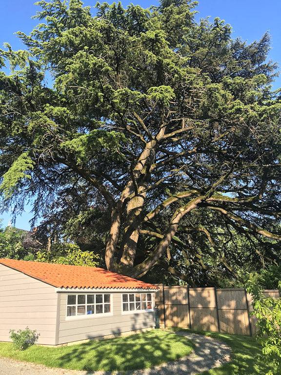 Gîte du Colombier, 3*, 2/4 pers., proche Puy du Fou, Vendée in Pouzauges, Fontenay-le-Comte