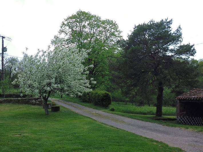 Chambre pour 2 personnes, avec jardin dans le Tarn - 3