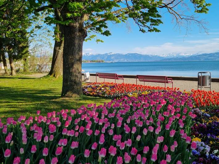 Ganze Ferienwohnung, Mf Feriendomizil am Bodensee - Ferienwohnung "Stella", 38 qm, 2 Schlafzimmer, max. 4 Personen in Kressbronn am Bodensee, Region Bodensee-Oberschwaben