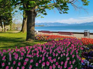 Ferienwohnung für 4 Personen in Kressbronn am Bodensee, Region Bodensee-Oberschwaben, Bild 1