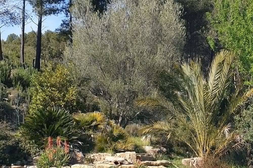 Mas provenzal, piscina privada climatizada, spa, calma absoluta in Le Beausset, Costa mediterránea (Francia)