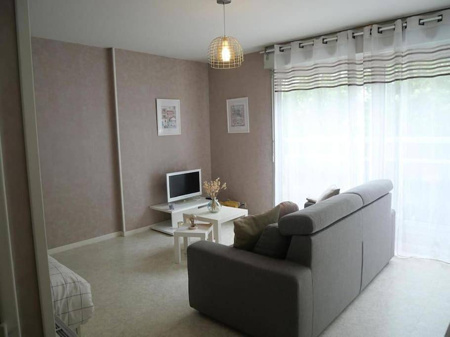 Appartement entier, One-Bedroom Apartment in Riom, Parc naturel régional des Volcans d'Auvergne