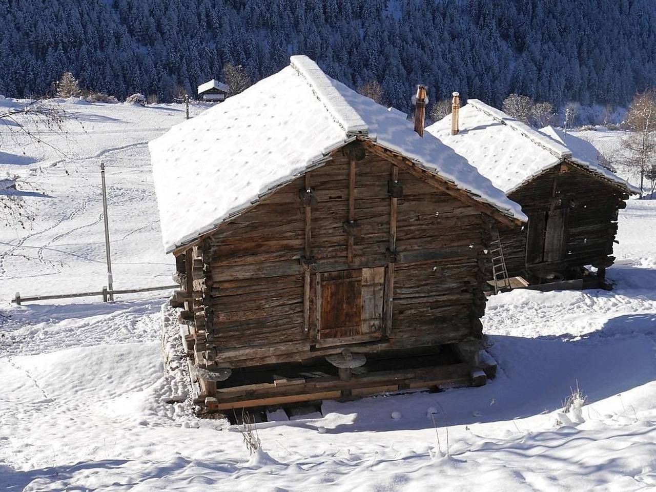 Mayen an Olivier in Evolène, Alpes valaisannes