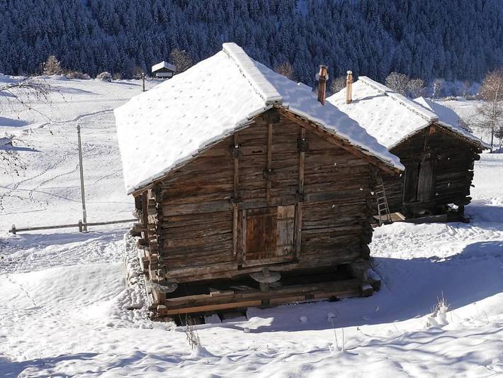 Mayen an Olivier in Evolène, Walliser Alpen