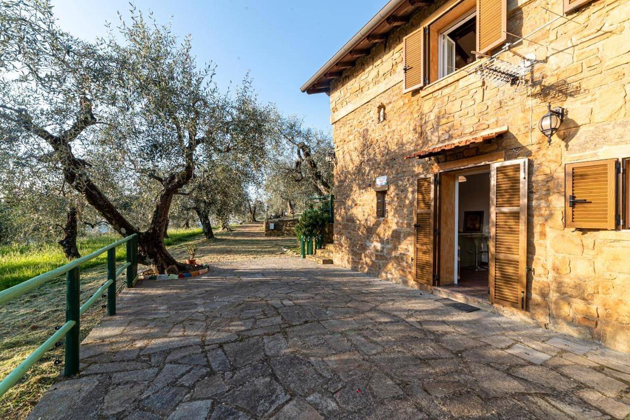 Casetta Maduneta immersa in un oliveto in Dolceacqua, Ligurische Alpen