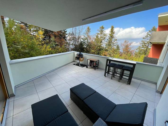 Apartament wakacyjny dla 9 osób, z Balkon i Taras oraz Ogród i Widok w Maribor