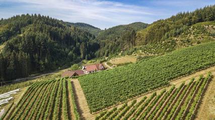 Ferienwohnung für 4 Personen in Oberkirch, Mittlerer Schwarzwald, Bild 3