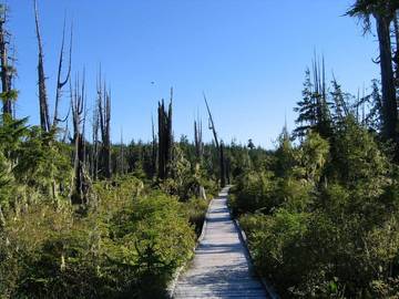 Bed And Breakfast for 2 Guests in Alert Bay, British Columbia, Picture 1