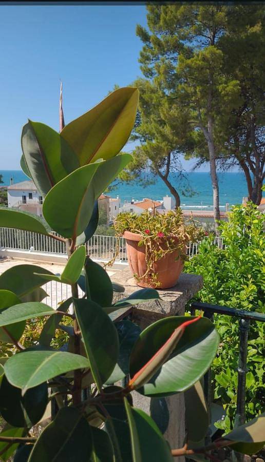 Location de vacances pour 3 personnes, avec Balcon et Terrasse ainsi que Jardin et Vue à Vico del Gargano - 4
