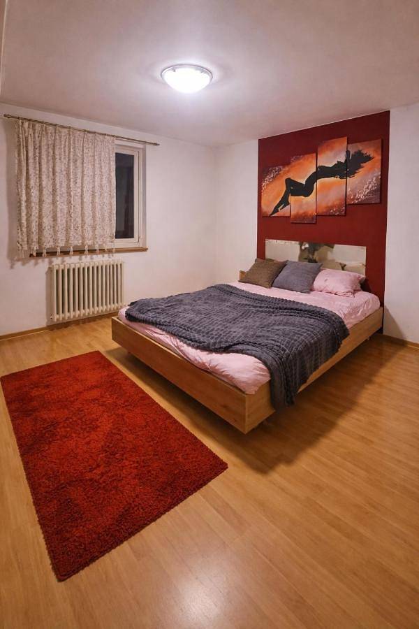 Gîte pour 3 personnes, avec vue et balcon, animaux acceptés à Horw - 3