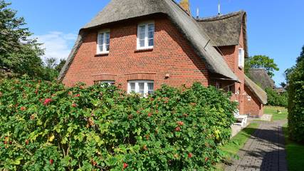 Ferienhaus für 4 Personen, mit Terrasse und Garten, kinderfreundlich in Süderende