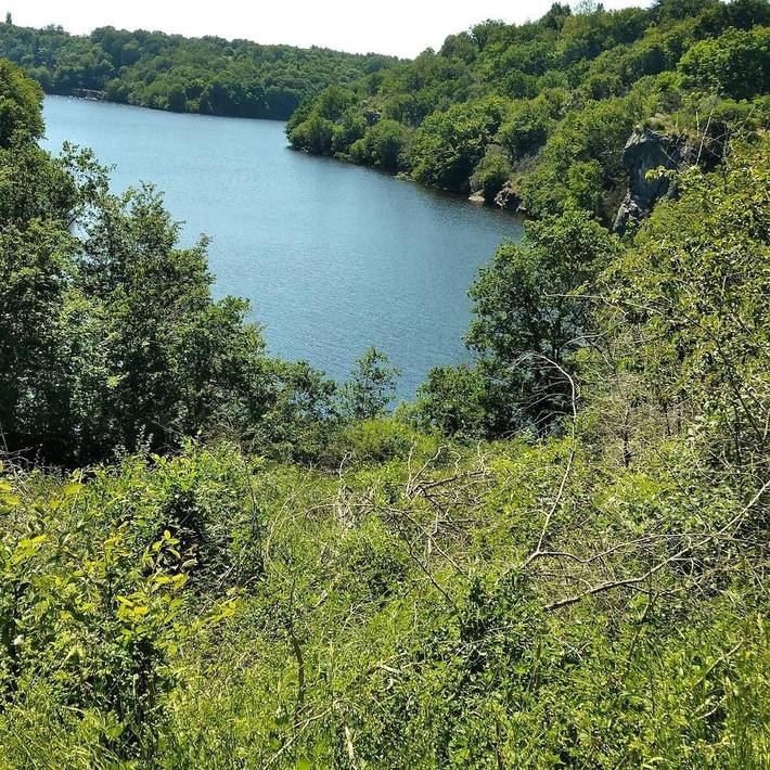 Location de vacances pour 6 personnes, avec piscine et jardin, animaux acceptés à Saint-Plantaire - 4