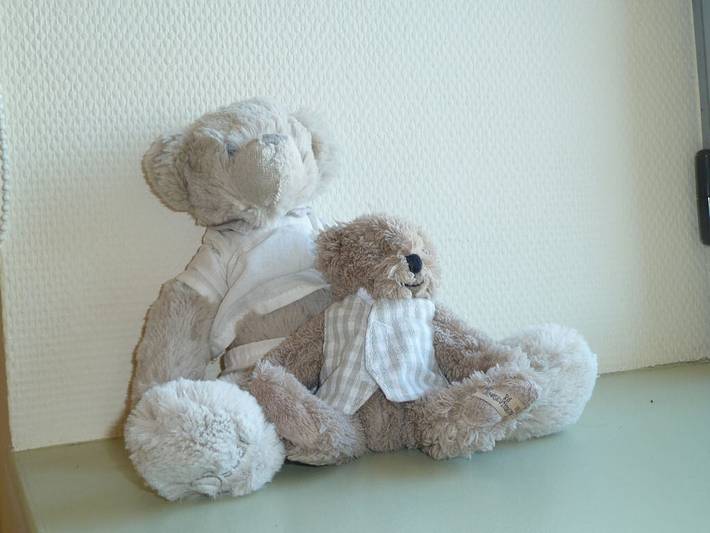 Chambre d’hôte pour 4 personnes, avec jardin dans les Pays de la Loire - 4