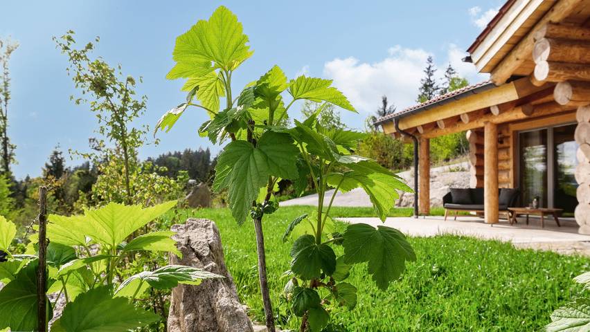Ferienhaus für 2 Personen, mit Garten im Bayerischer Wald - 3