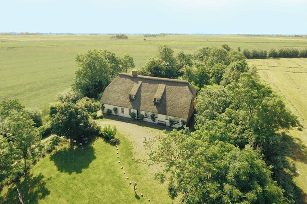 Idyllische Reethaus-Hälfte in Alleinlage -Hunde willkommen in Osterhever, Eiderstedt