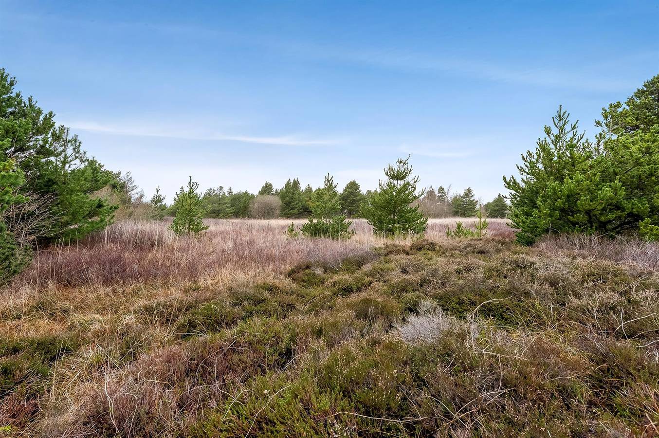 Pet friendly home in Rømø with sauna in Kongsmark, Rømø