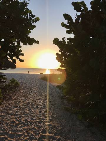 Apartment for 4 Guests in Naples (FL), Collier County, Picture 2