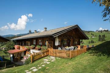 Chalet für 5 Personen, mit Terrasse und Sauna, kinderfreundlich in Wagrain